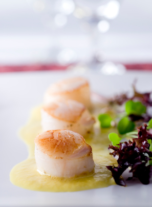 Sous Vide Scallops: The Creamiest Scallops Ever