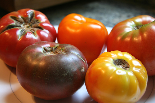 It’s Gazpacho Season…But Try It as a Salad!