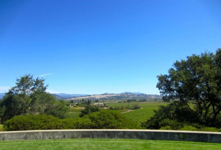 Touring & Tasting in Sonoma Wine Country