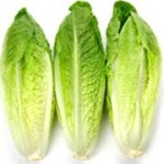 romaine