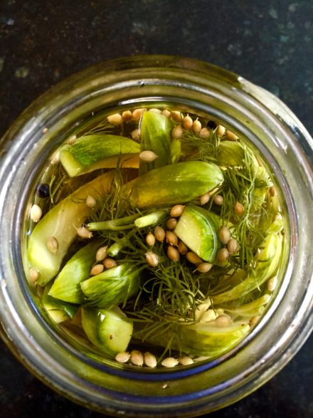 Quick and Easy Dill Pickles